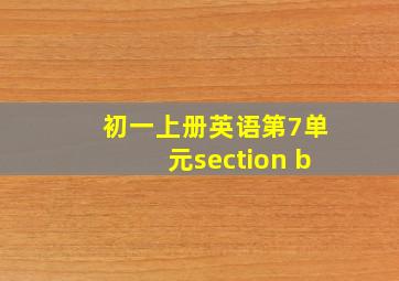 初一上册英语第7单元section b